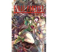 Kameya, Itsuki – Final Fantasy Lost Stranger Vol. 9 – Yen Press