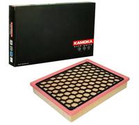 KAMOKA F205901