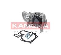 KAMOKA T0243 Bomba de agua