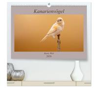 Kanarienvögel - Bunte Welt (hochwertiger Premium Wandkalender 2026 DIN A2 quer), Kunstdruck in Hochglanz: Wunderschöne Bilder, welche die ganze bunte Vielfalt der Kanarienvögel zeigen