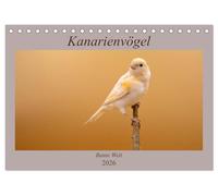 Kanarienvögel - Bunte Welt (Tischkalender 2026 DIN A5 quer), CALVENDO Monatskalender: Wunderschöne Bilder, welche die ganze bunte Vielfalt der Kanarienvögel zeigen