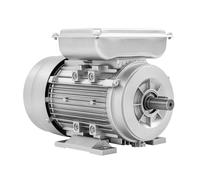 KANBCNG Motor eléctrico de 750 W, monofásico, IP55, motor industrial, 1380 rpm, 240 V, motor eléctrico monofásico, diámetro del eje: 19 mm, para petróleo, industria química, minería, etc