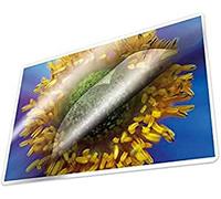 Kangaro Laminierfolie A4 216x303mm 100 micras 100 hojas