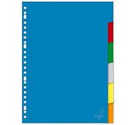 Kangaro - Separadores (A4, en blanco, polipropileno, 120 micrones, 23 unidades, 6 unidades)