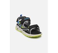 Kangaroos K-AS Fore 33 Negro