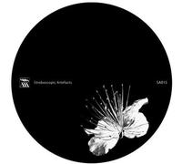 Kangding Ray - Caos Y Orden Superior/Wars [Vinilo]