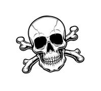 Kangnice Cortina Decorativa para vehículos de cortesía Tela de poliéster Adicional Que se Adapta a Varias Ocasiones, Incluidas Bodas, Vacaciones, baúl Cortina Decorativa estándar