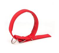 KANGYEBAIHUODIAN Collar de Perro con Correa de Nailon Ajustable Apto for Perros pequeños y Grandes Accesorios for Cachorros y Mascotas Collar de Cuero Apto for Perros Golden Retriever Husky Neck (Col
