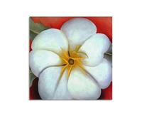 KANGZENG Póster artístico de Georgia O'Keeffe Painter Works (flor blanca sobre la tierra roja) para pared, lienzo impreso, dormitorio, sala de estar, 50 x 50 cm