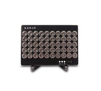 Kanjo Panel de terapia de luz roja compacto para bienestar y relajación