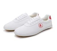 KANLVU Zapatillas De Tai Chi para Hombre Transpirables Kung Fu Mujer Escuela Lona para Artes Marciales Entrenamiento, Baile Y Deportes(Rend,35 EU)