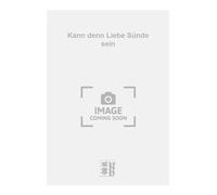 Kann denn Liebe Sünde sein - Salon Orchestra - Book