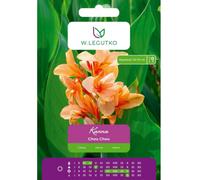 Kanna Chou Chou crema 1 unidad.