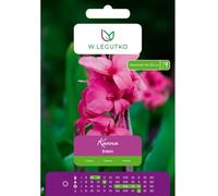 Kanna Eden rosa, 1 unidad.