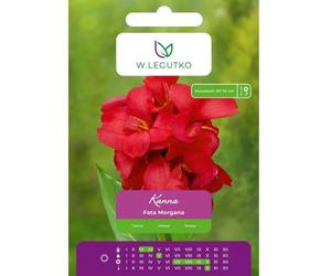 Kanna Fata Morgana rosa oscuro 1 unidad.