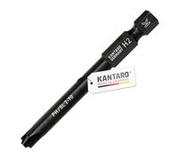 KANTARO 4101 bits H2 x 70 mm para tornillos Phillips PlusMinus SL/PH2, fabricado en Alemania