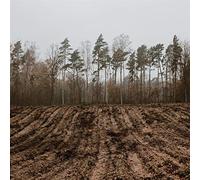 Kaptain Kaizen - Alles und Nichts [Vinilo]