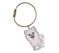 KAQNTUD Llavero conmemorativo para mascotas, ligero, para llevar el pelo de perro, en caja transparente, caja de joyería de pelo de perro