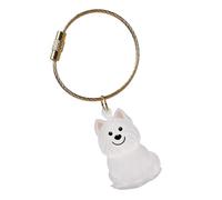 KAQNTUD Llavero conmemorativo para mascotas, ligero, para llevar el pelo de perro, en caja transparente, caja de joyería de pelo de perro