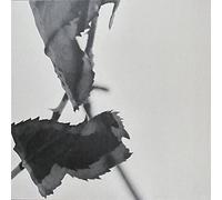 Kara-Lis Coverdale - Grafts - Boomkat Editions - BK12X1204