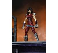 Karai City At War. Teenage Mutant Ninja Turtles (Mirage Comics)
