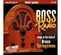 Karaoke: Bruce Springsteen Sing the [Import]