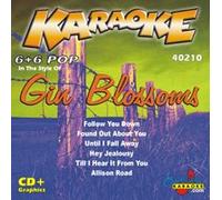 Karaoke Gin Blossoms - Karaoke: Gin Blossoms