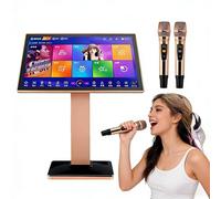 Karaoke profesional de 22 pulgadas Disco duro de 500 GB Pantalla táctil capacitiva Descarga en la nube Reproductor todo en uno(8TB)