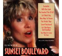 Karaoke - You Sing The Hits Of Sunset Boulevard [KARAOKE]