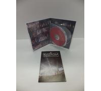 Karasia 2013 Happy New Year in [DVD de Audio]