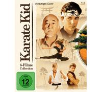 Karate Kid Collection (Blu-ray) Macchio Ralph Shue Elisabeth (Importación USA)