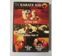Karate Kid Collection Box Set (3 Dvd) [Edizione: Stati Uniti] [USA]