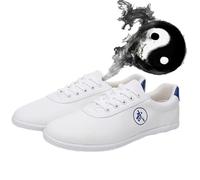 Karate Kung Fu Tai Chi Zapatos for Niños Adolescentes Adultos,Kung Fu Tai chi Calzado,Taekwondo Artes Marciales Zapatilla de Boxeo Karate para Hombr y Mujeres(Size:41EU,Color:a)