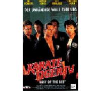 Karate Tiger 4 - Best of the Best [Alemania] [VHS]