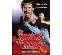 KARATE TIGER 6: KING OF KICKBOXERS 2 (Fighting Spirit) [Alemania] [DVD]