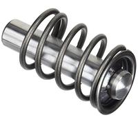 KARCHER 9.001-927.0 - Émbolo completo