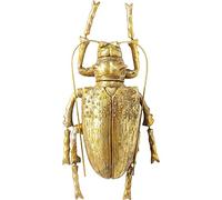 Kare Design Decoración de Pared, Longicorn Beetle, Oro, 27x7x15cm