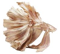 Kare - Figura Decorativa de Betta Fish Gold, Talla única