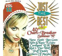 Karen Young Johnny Right Blue Boy Puff Daddy - Amazing Pophits Summer 1 9 9 7