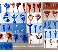 Karl Blossfeldt: Working Collages (The MIT Press)