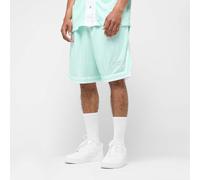 Karl Kani Small Varsity Logo Pinstripe Mesh Shorts azul S
