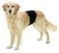 Karlie 1031703 Pañales para Perro Macho, Negro, 49 x 14 cm, S