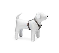 Karlie 64253 Plus Arnés de Nylon, Gris, 25 mm x 65-100 cm, L