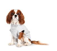 Karlie K&F Safety Body Gris 36 Cm 49064 140 ml