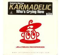 Karmadelic - KARMADELIC FT SANDY B / WHO'S CRYING NOW