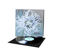 Karn - More Better Different [Vinilo]