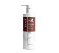 Karseell Champú Hidratante Aceite de Argán, Reconstructor para Cabello Seco y Dañado, Hidratación Profunda, Todo Tipo de Cabellos, 500ml