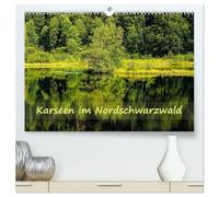 Karseen im Nordschwarzwald (hochwertiger Premium Wandkalender 2026 DIN A2 quer), Kunstdruck in Hochglanz: Karseen sind die dunklen Augen des Schwarzwalds