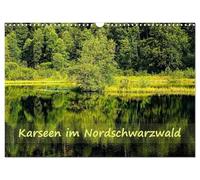 Karseen im Nordschwarzwald (Wandkalender 2026 DIN A3 quer), CALVENDO Monatskalender: Karseen sind die dunklen Augen des Schwarzwalds