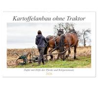 Kartoffelanbau ohne Traktor (Wandkalender 2026 DIN A2 quer), CALVENDO Monatskalender: Der Anbau von Kartoffeln mit unseren Pferden und Körpereinsatz.